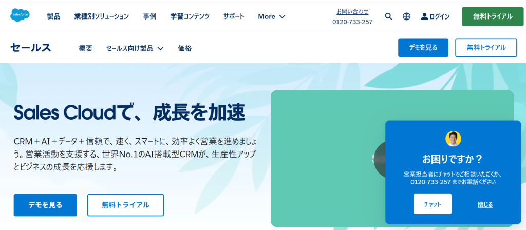 6. Salesforce Assistant