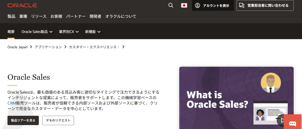 13. Oracle Sales