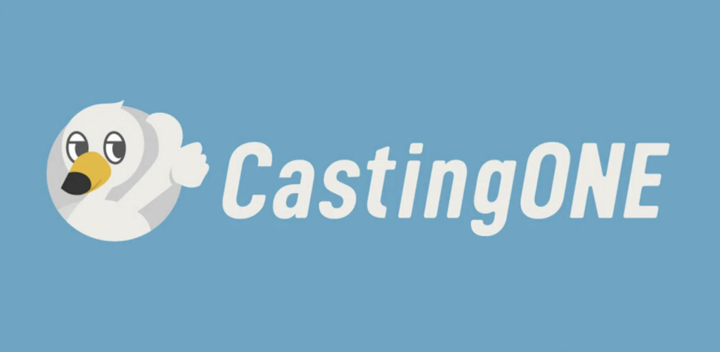 13.CastingONE