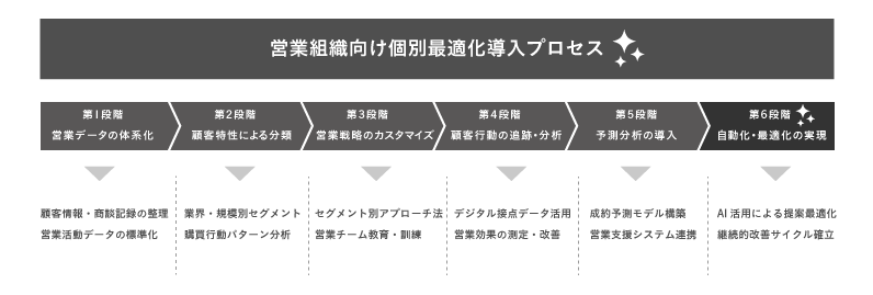 個別最適化の6段階実装プロセス図